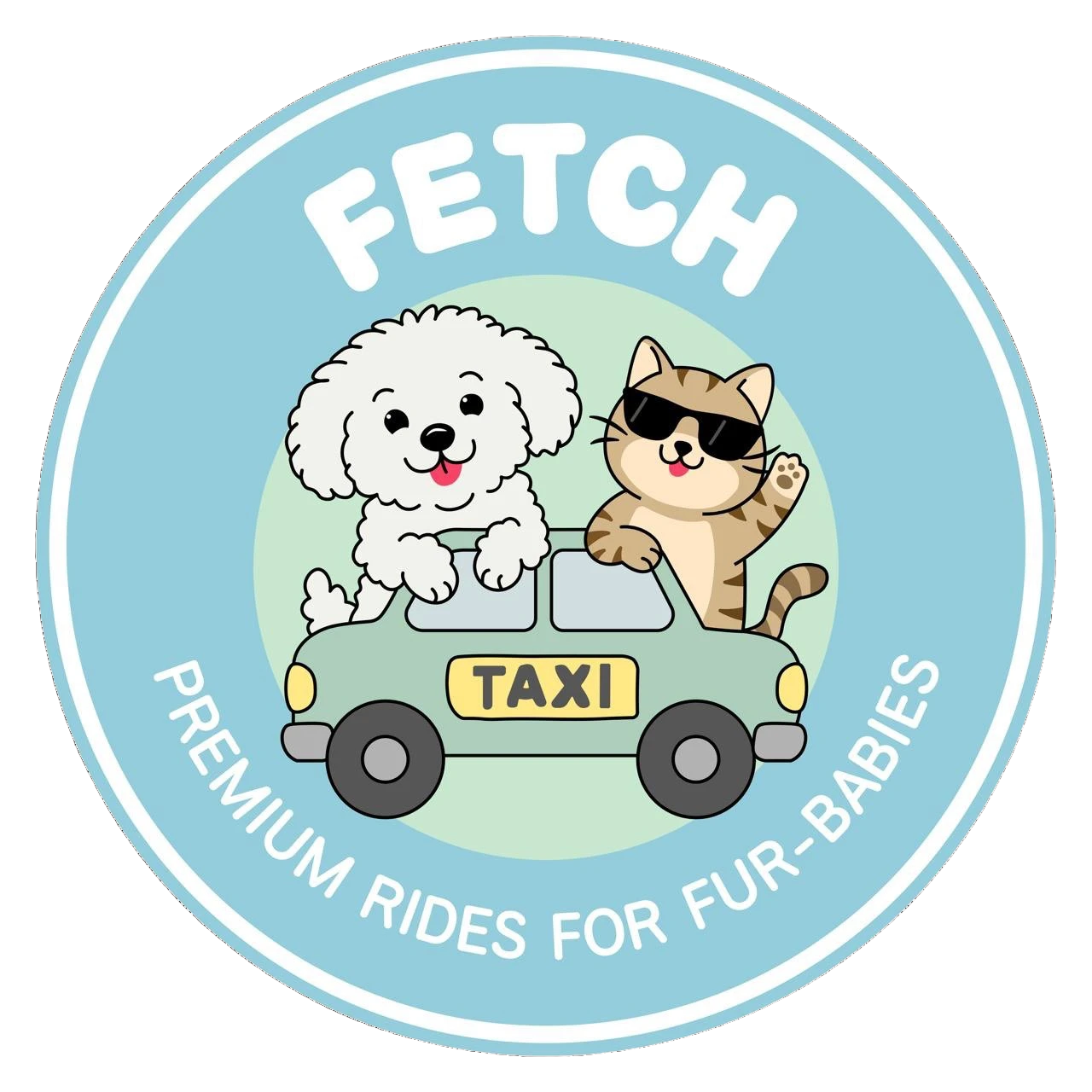 Fetch Pet Taxi